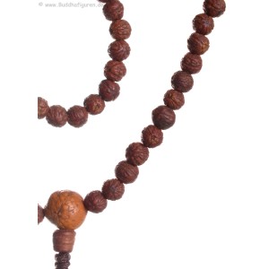 Mala Raktu-Seeds  7mm 3faced